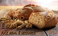 Dia Mundial do Pão