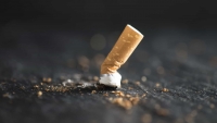 Medidas para reduzir o impacto das pontas de cigarros, charutos ou outros cigarros no meio ambiente